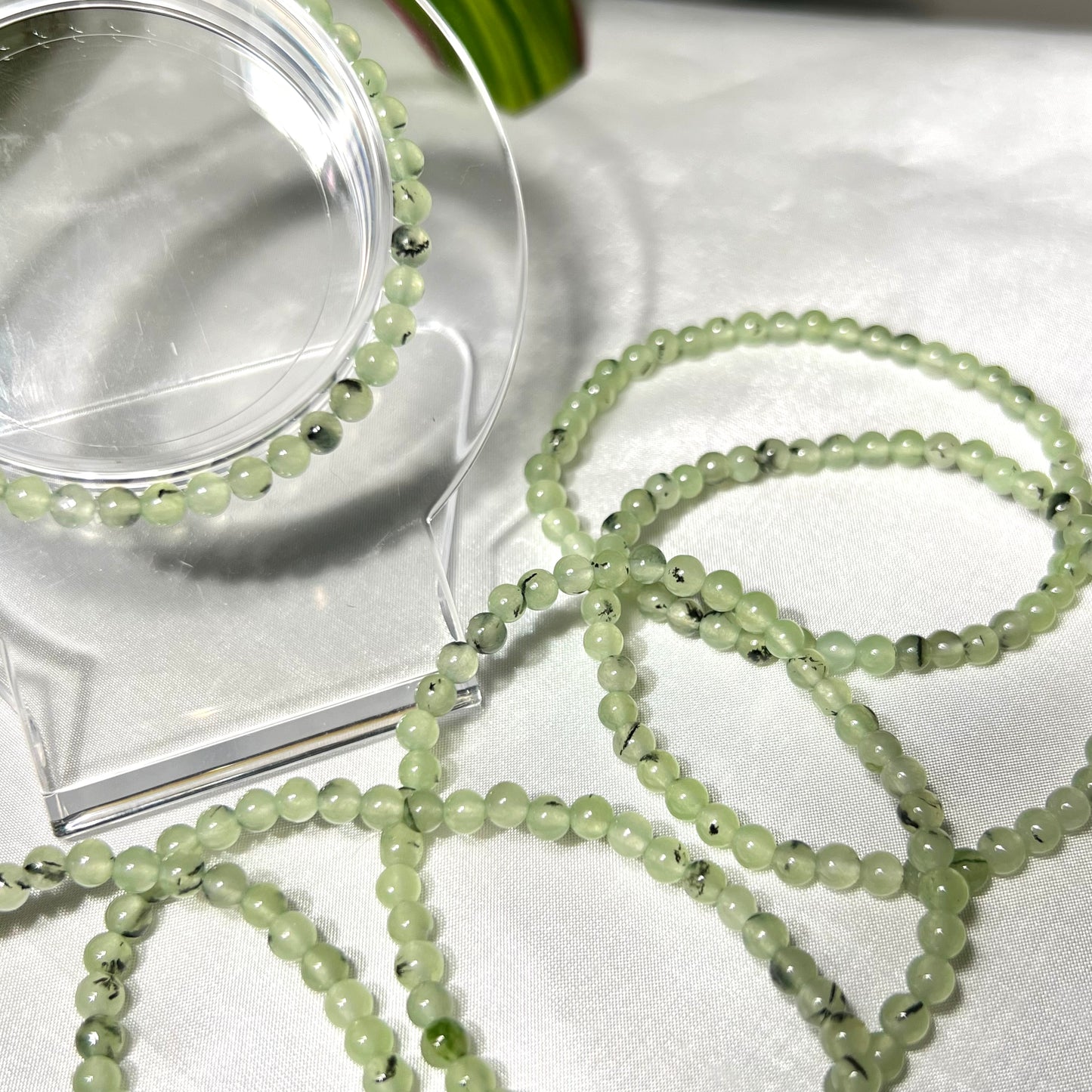 Prehnite Bracelet 4mm