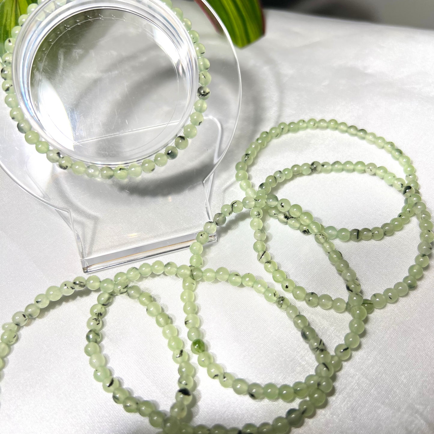 Prehnite Bracelet 4mm