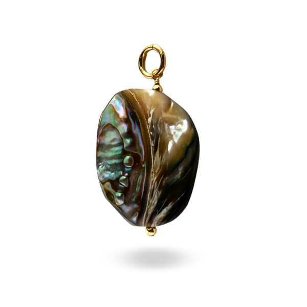 Abalone Shell Organic Statement Charm